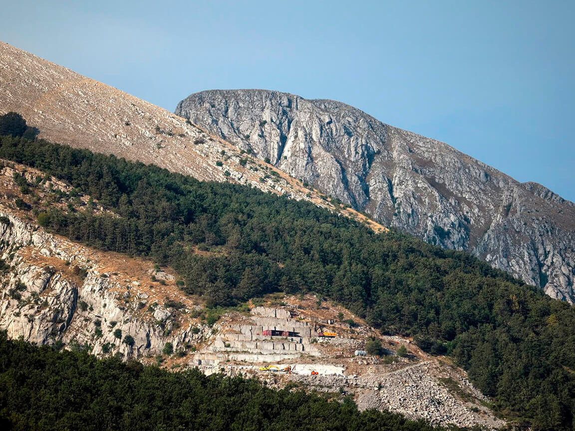Una piattaforma digitale per connettere territorio, foreste e filiera del legno